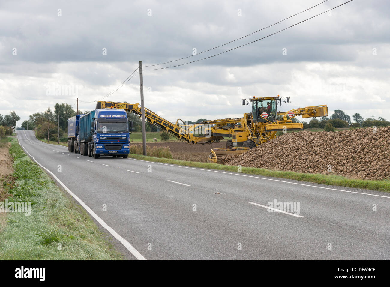 Sugar beet harvest uk hi-res stock photography and images - Alamy