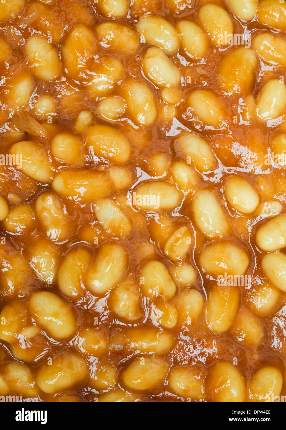 Baked beans in tomato sauce Stock Photo Alamy