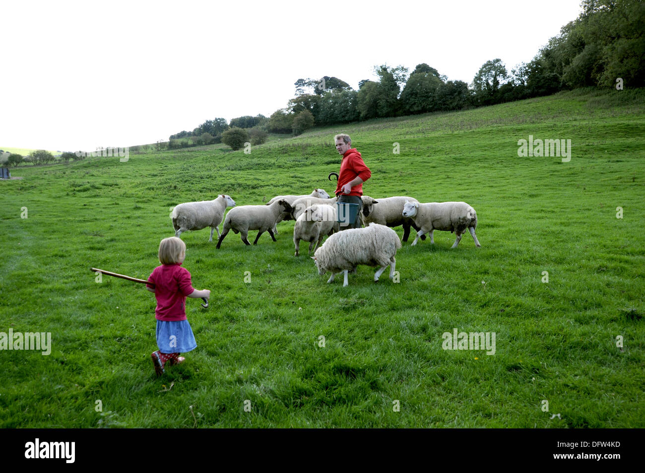 Sheep farming family at Saddlescombe Farm near Devils Dyke Brighton UK Stock Photo