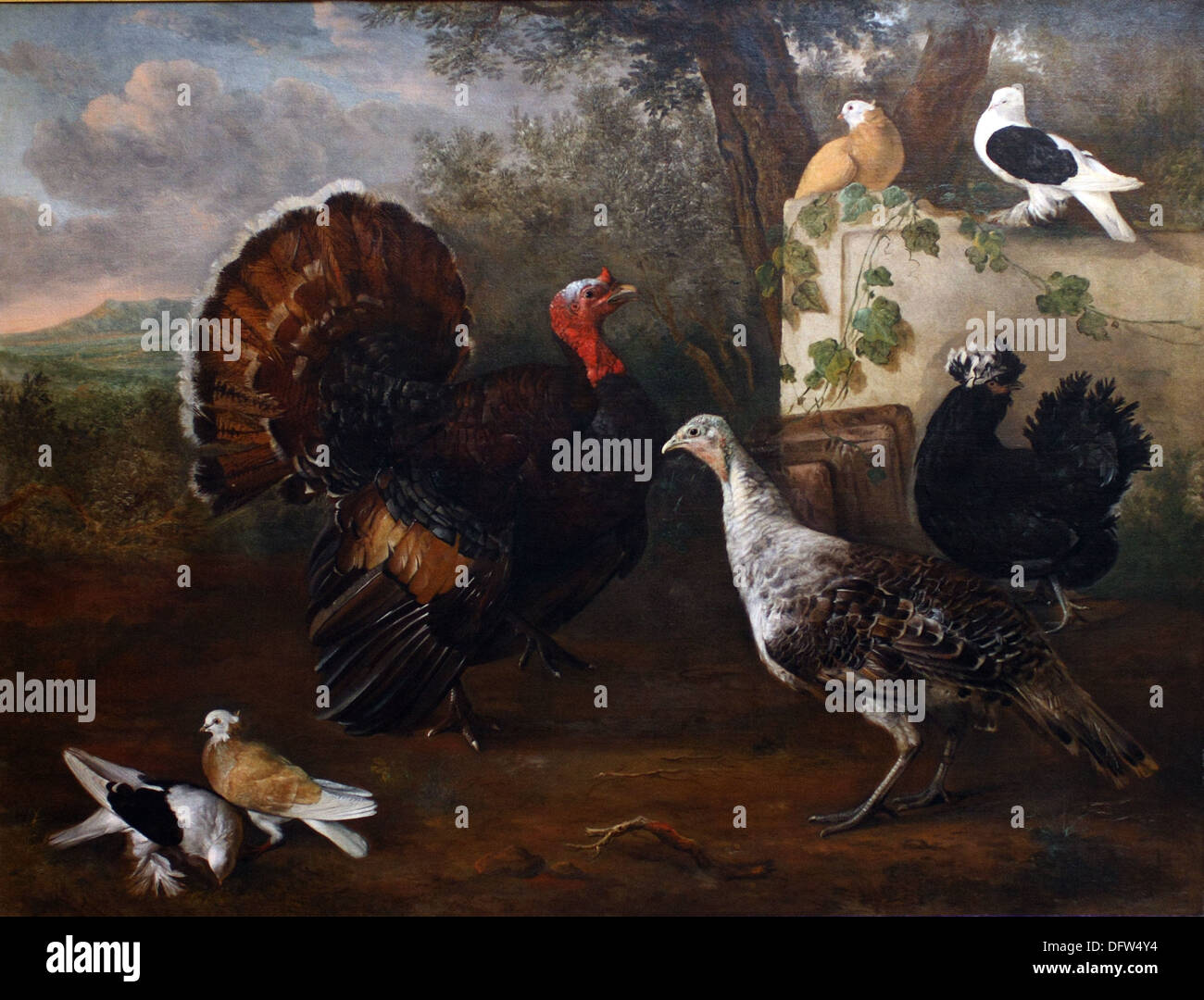 Cornelia de RICK - Turkeys and pigeons - 1690 - Museum of Fine Arts - Budapest, Hungary. Stock Photo