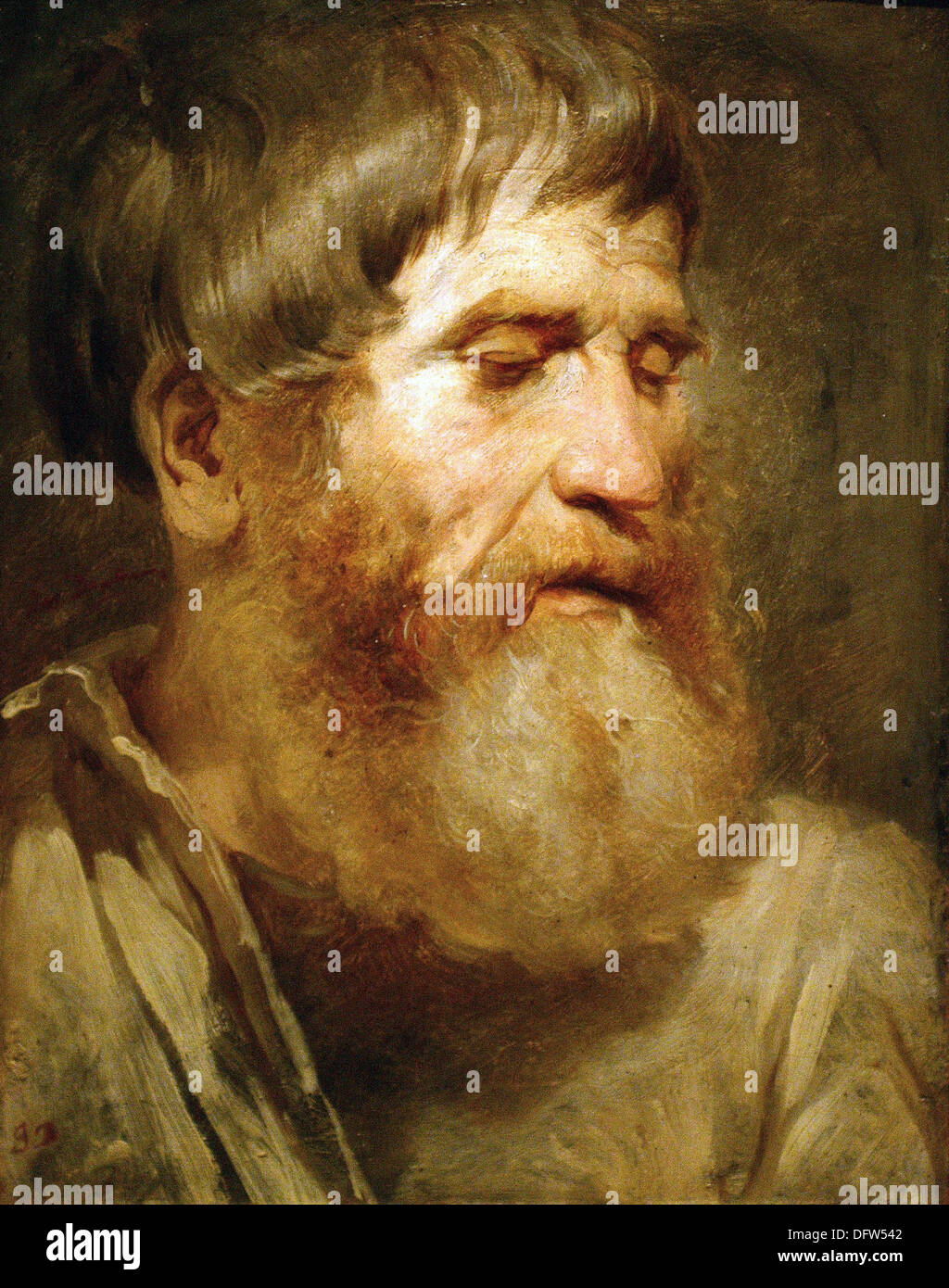 Josef DANHAUSER - Study of a bearded man - Museum of Fine Arts - Budapest, Hungary. Stock Photo