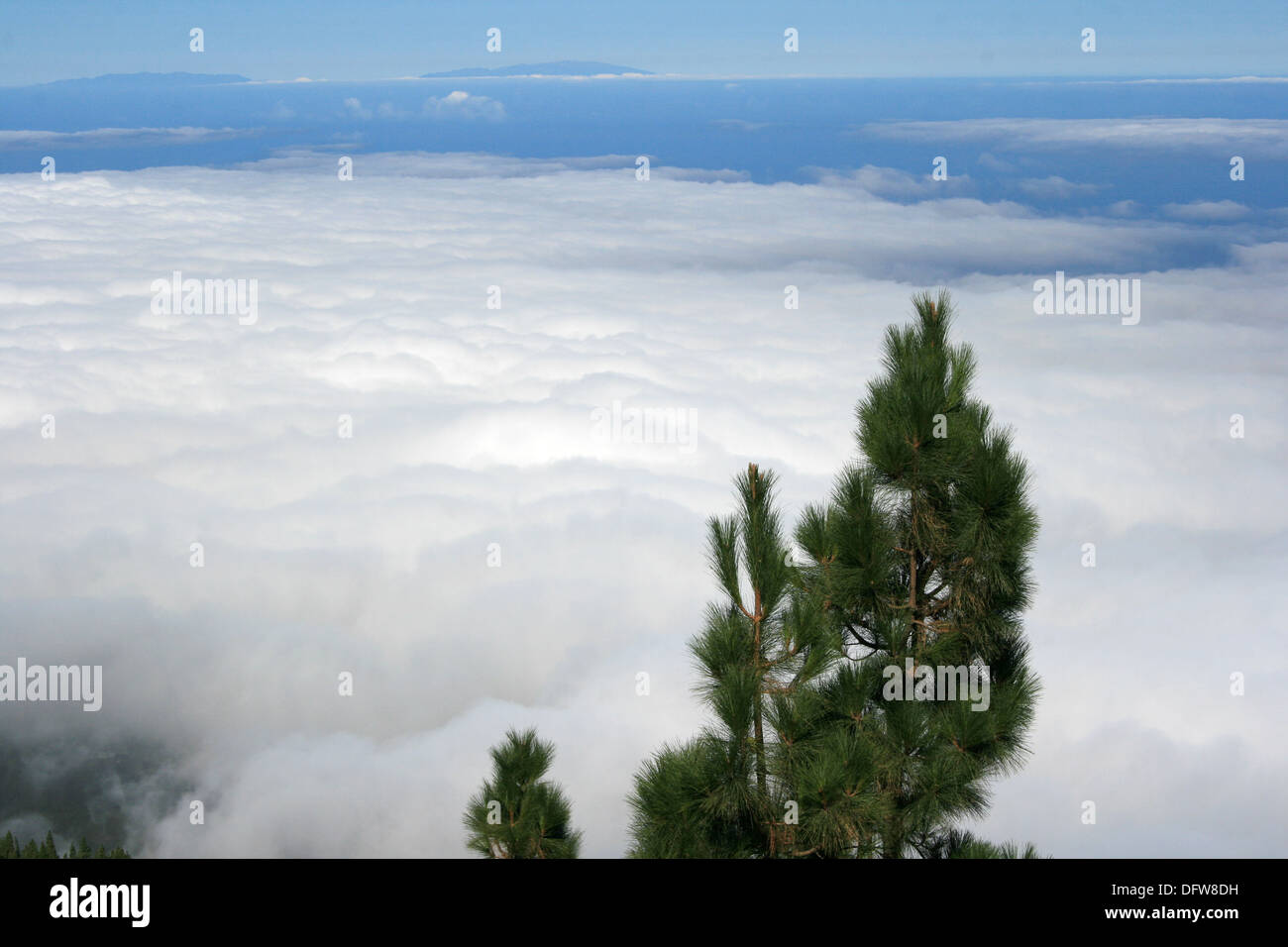 Las Canadas de Teide - tenerife Stock Photo