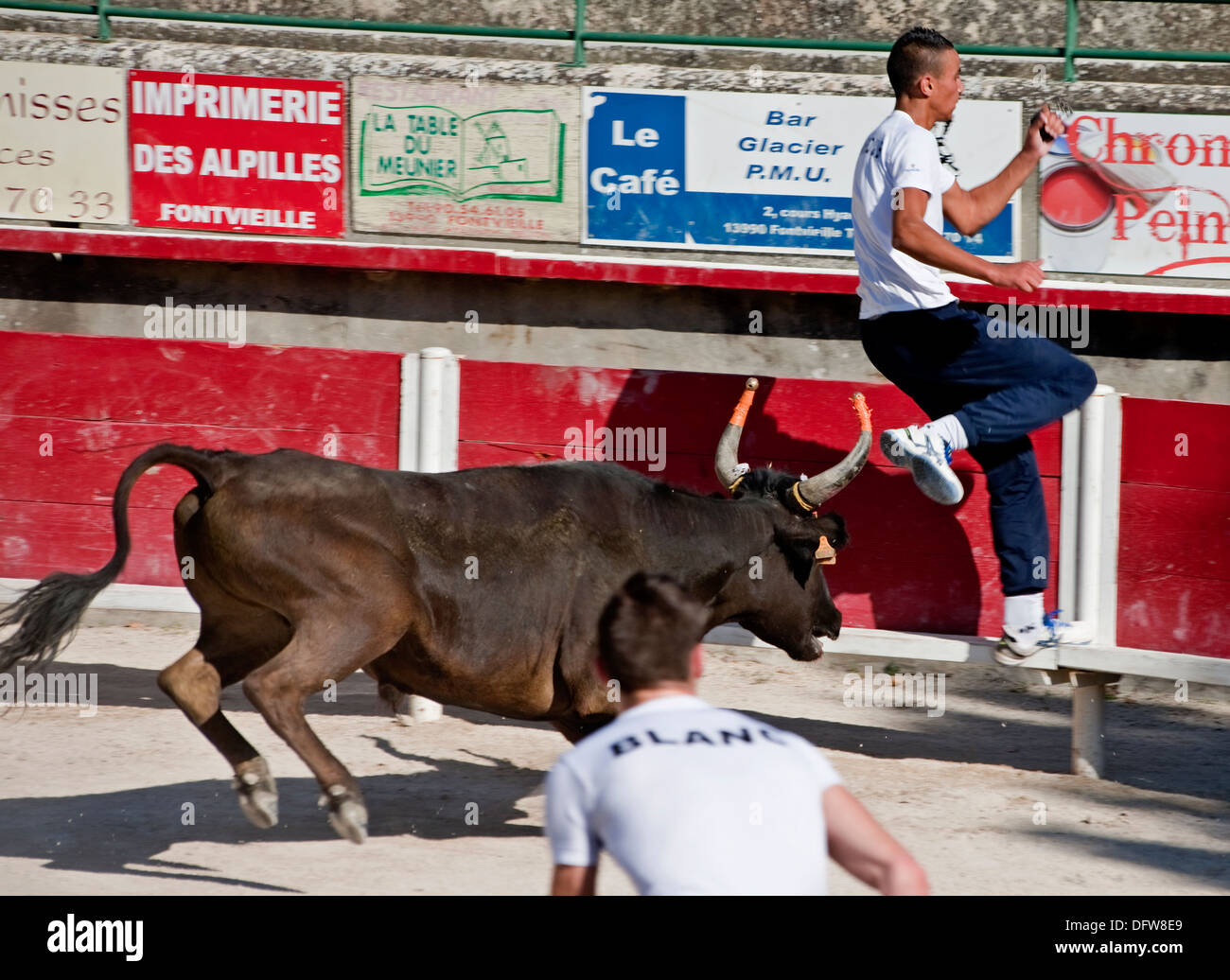 French bull fighting,Course Camarguaise,Bullfighting, Fontvieille France,Bull fighter and bull,at full charge, David Collingwood Stock Photo
