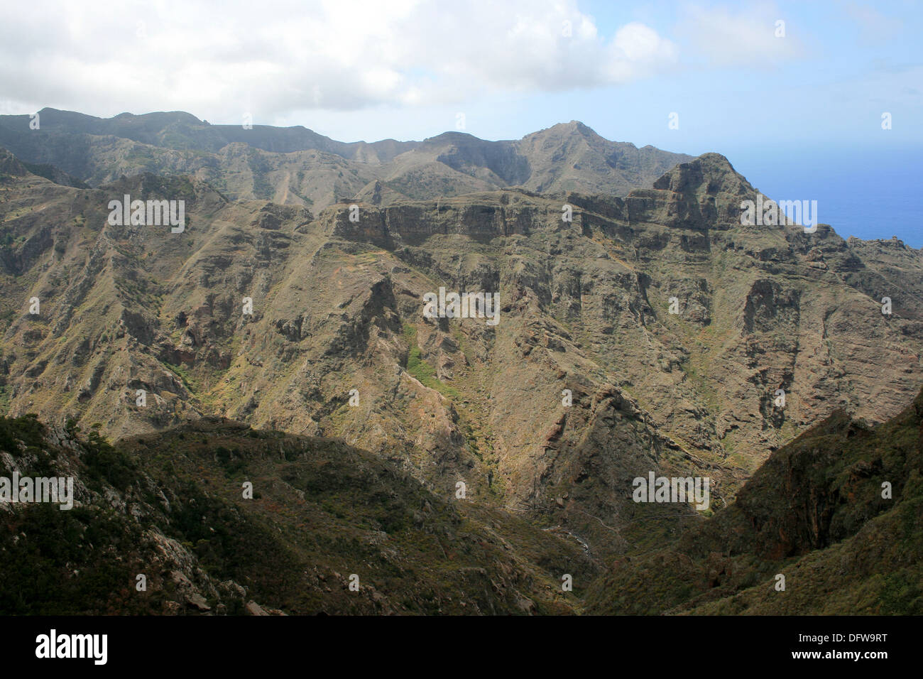 Punta del Hidalgo - tenerife - spain Stock Photo