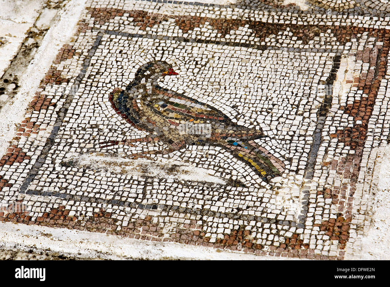 Detail of Roman mosaic. House of Birds. Italica. Santiponce. Sevilla province, Andalusia, Spain Stock Photo