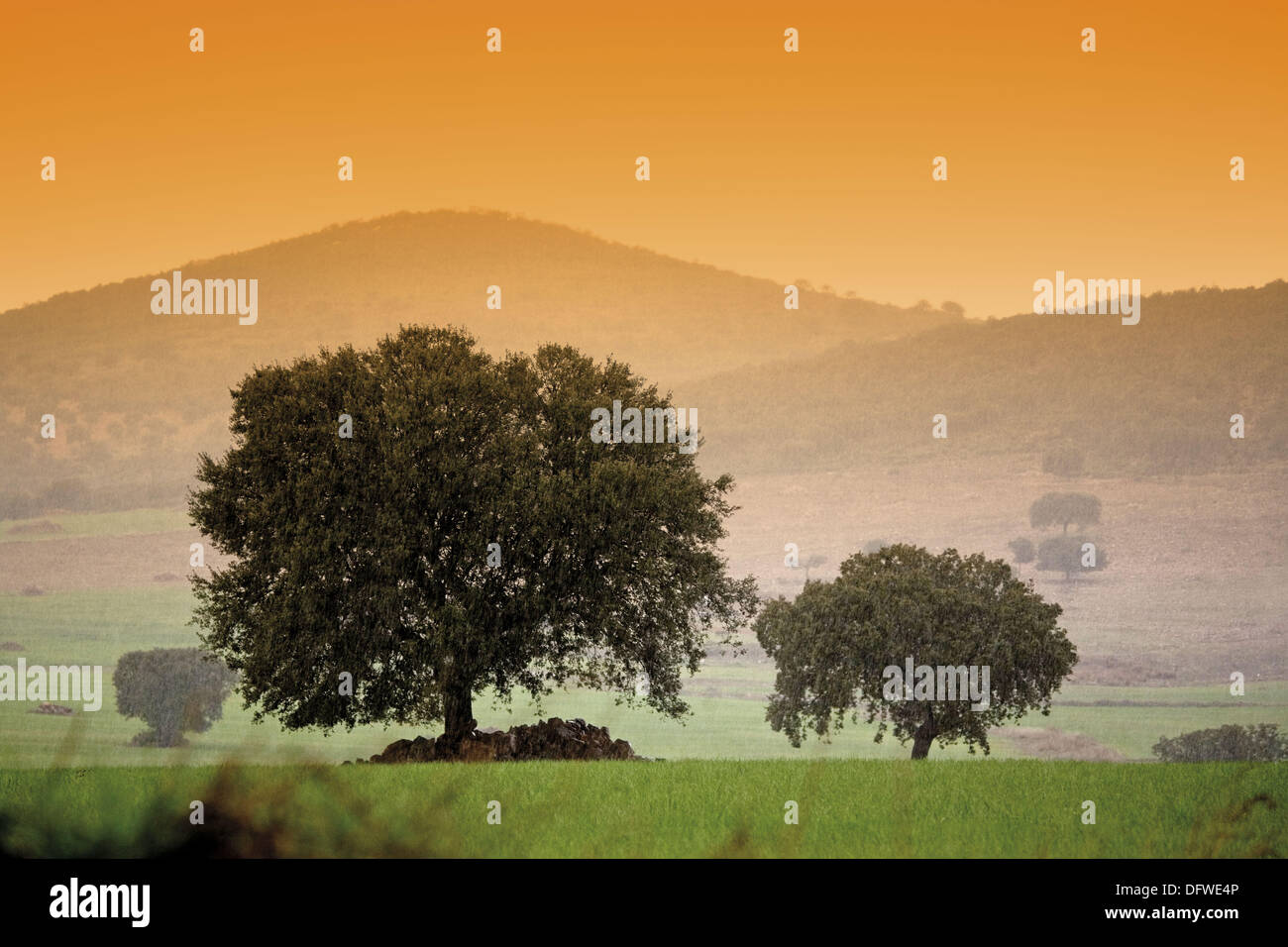 Valle de los Pedroches, Córdoba province, Spain Stock Photo Alamy