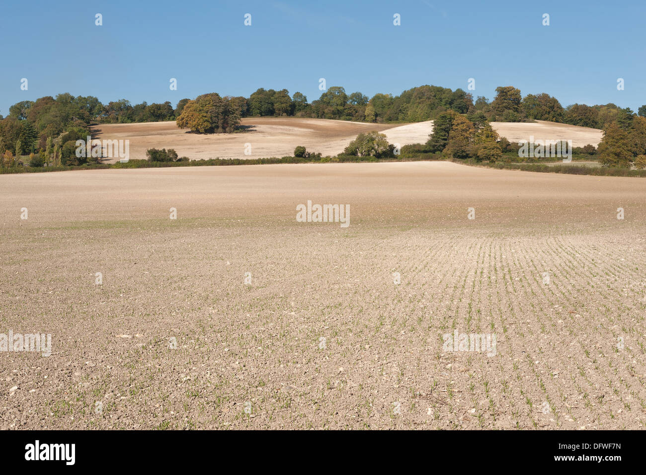 White chalky North downs arable field slope ploughed ready for spring