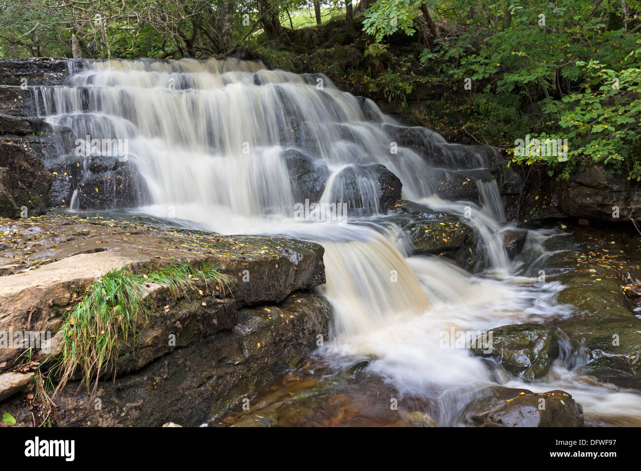 East Gill in Autumn Swaledale Yorkshire Dales UK Stock Photo