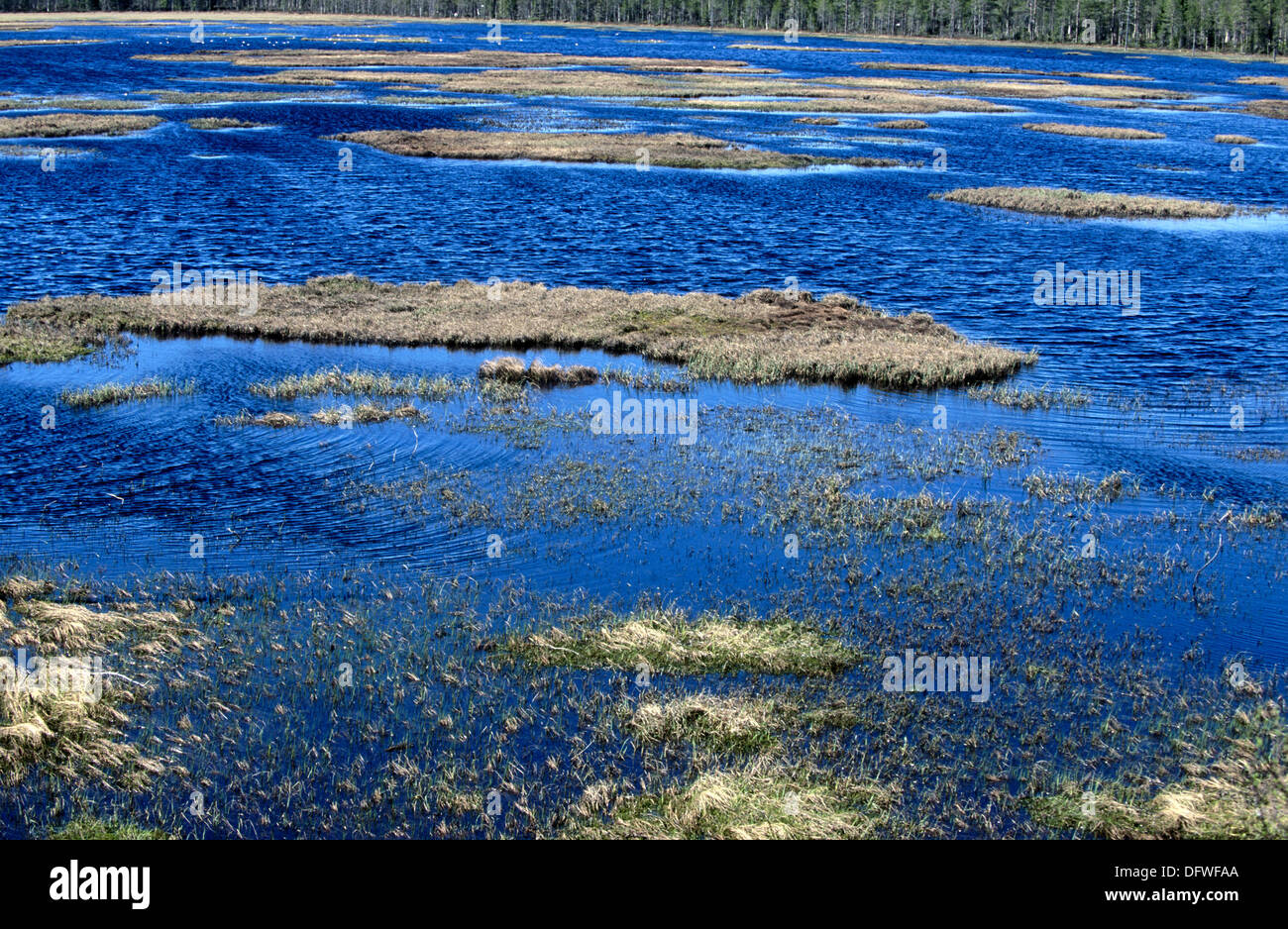 Swamp. Marshland with open water area and islands. Spring near Suomussalmi. Finland. Stock Photo