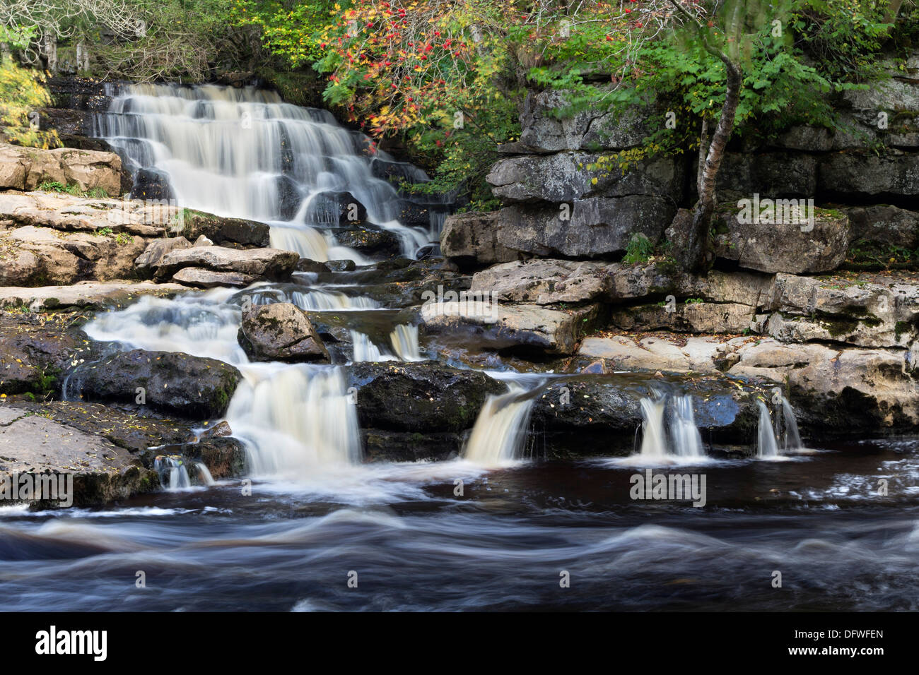 East Gill Lower Falls Meeting the River Swale in Autumn Yorkshire Dales UK Stock Photo