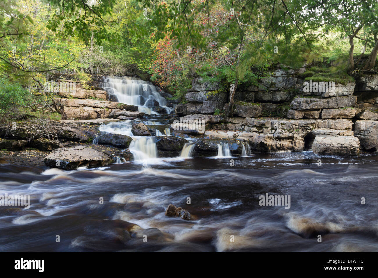 East Gill Lower Falls Meeting the River Swale in Autumn, Keld Swaledale Yorkshire Dales UK Stock Photo
