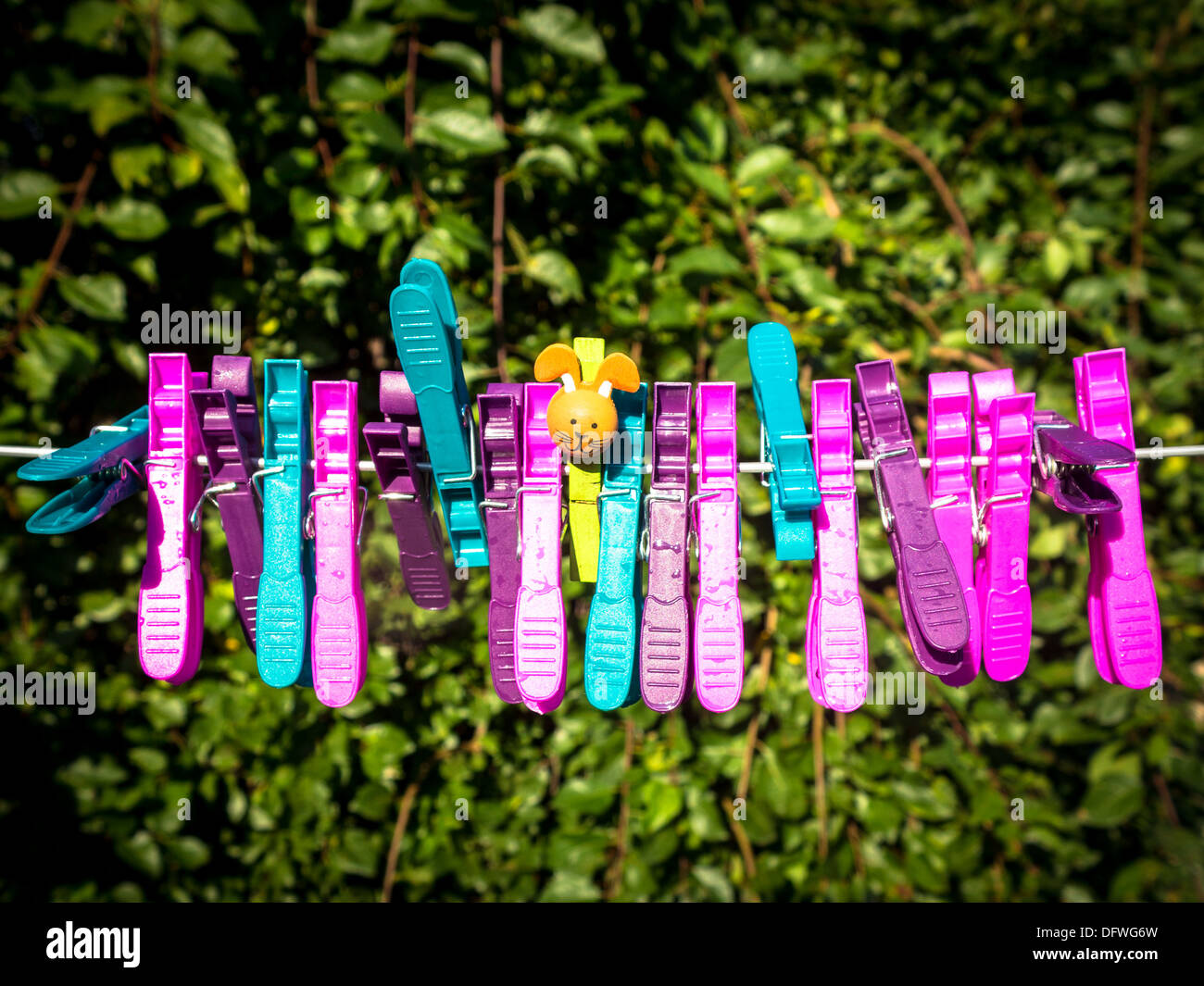 Colorful character plastic pegs on a line standing in a huddle with the central cute character Stock Photo