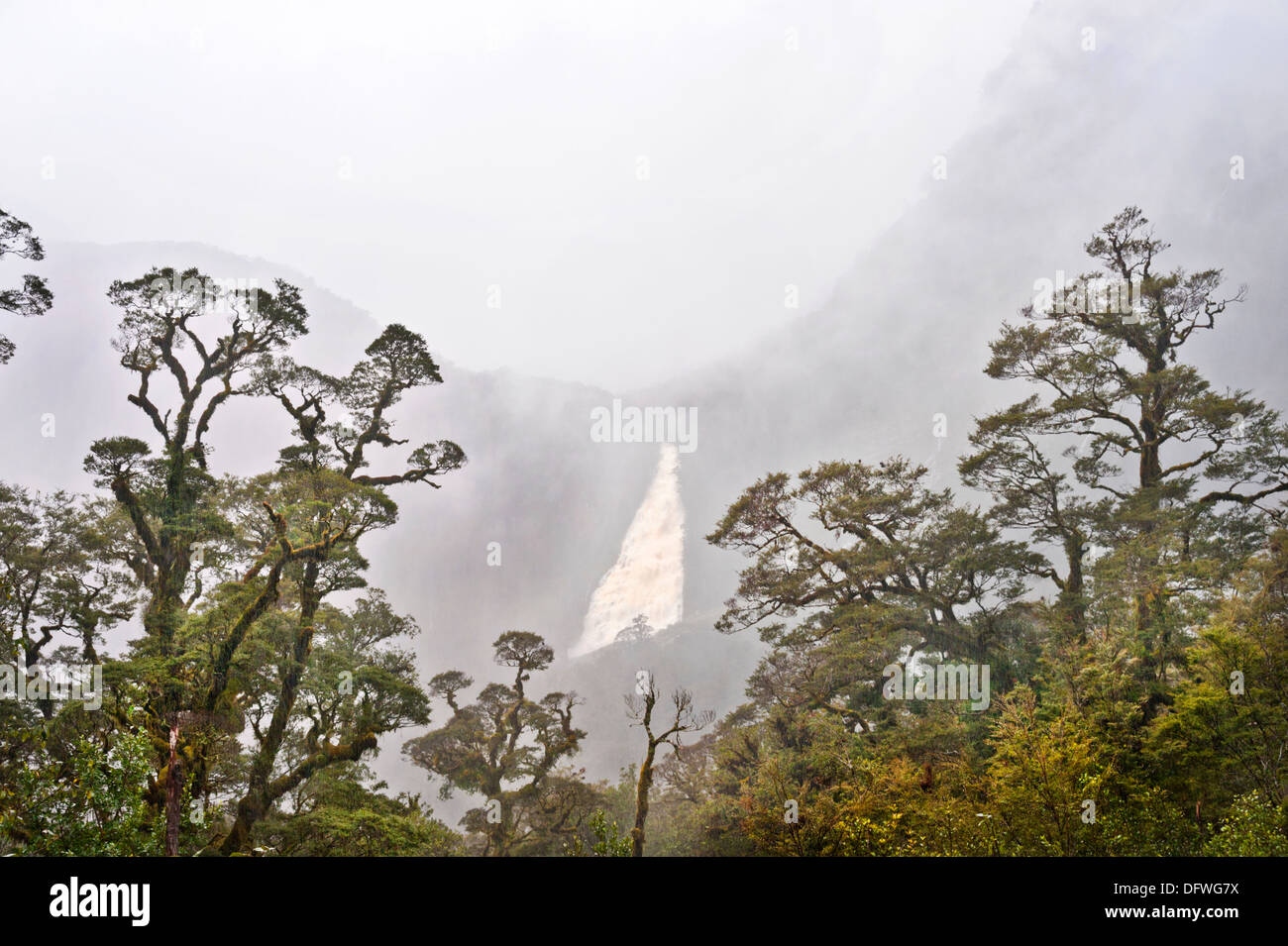 Waterfall off the Wilmot Pass in the mist and rain, Fiordland, South Island, National Park, New Zealand Stock Photo