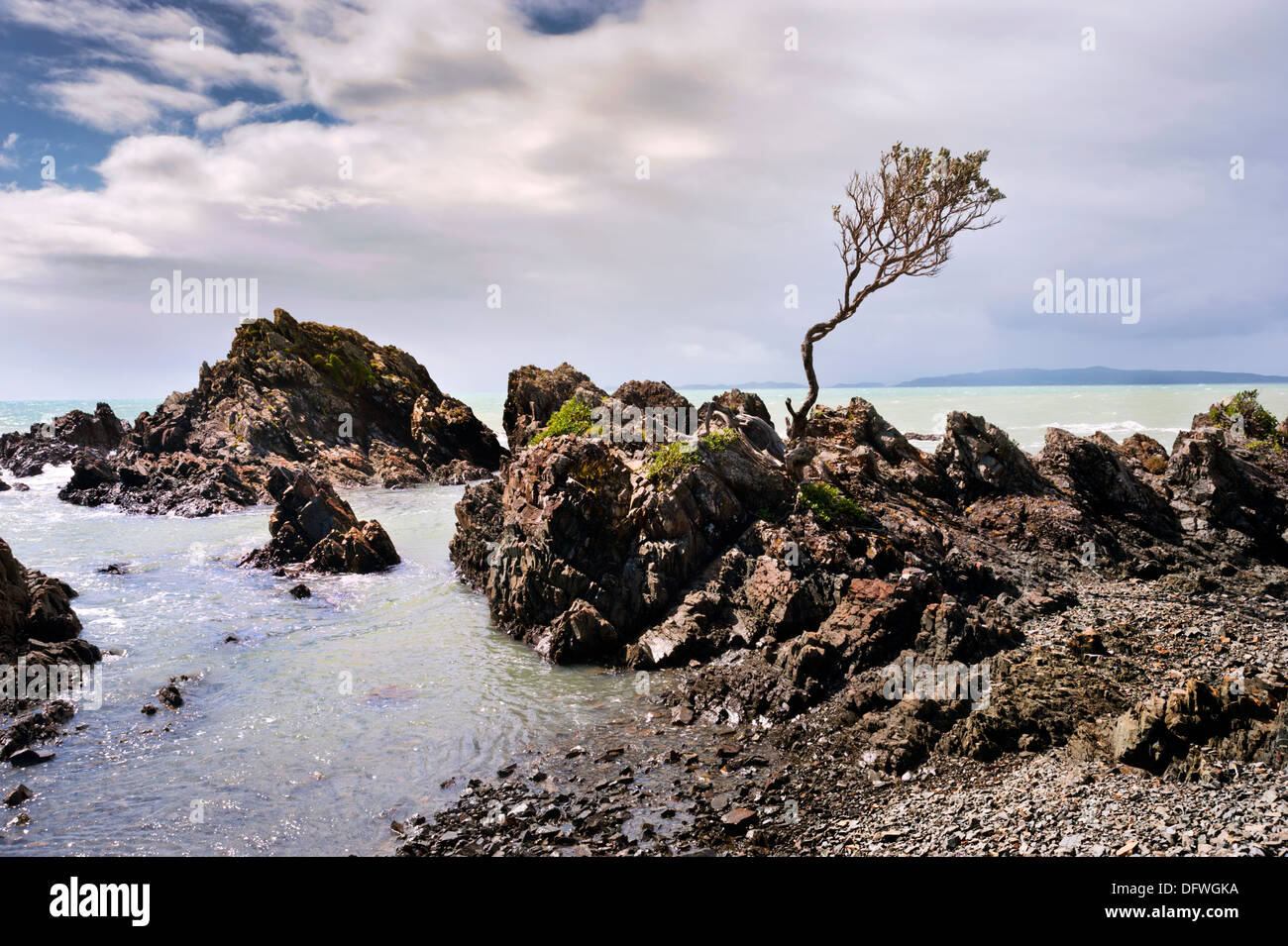 The coastline of The Coromandel, North Island, New Zealand Stock Photo
