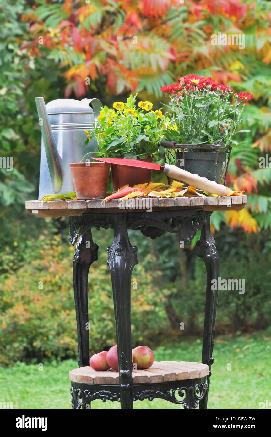 fall flower pots and gardening accessories placed on a table in the