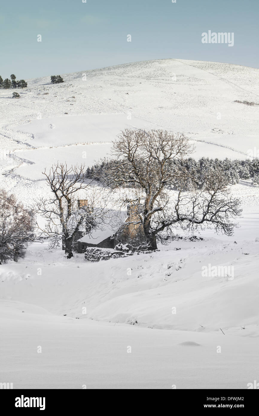 Derelict farm in Snow at Glen Deskry in Aberdeenshire, Scotland. Stock Photo