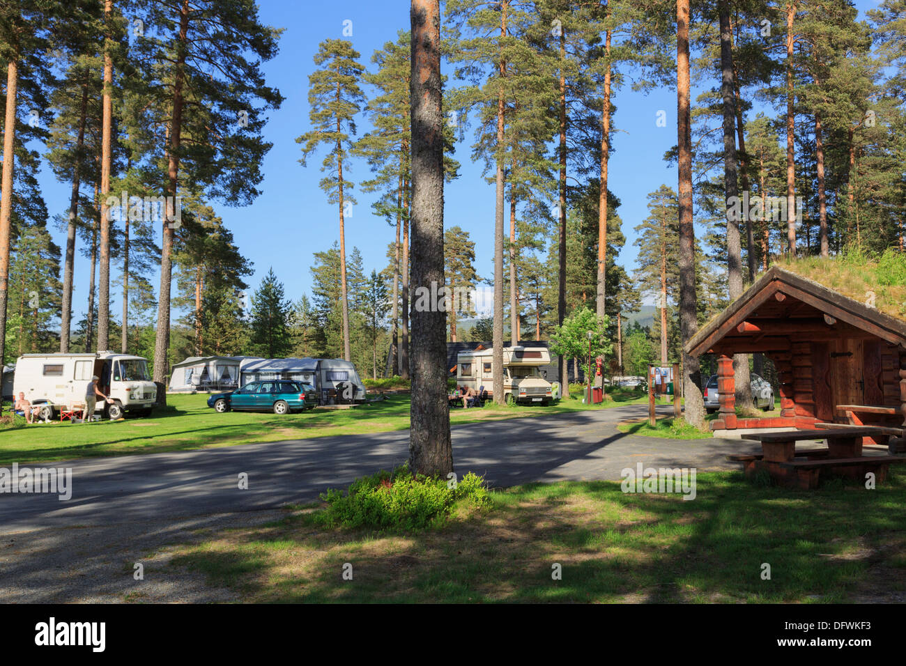 Campers camping on a woodland campsite at Hornnes, Evje, East Agder, Norway, Scandinavia, Europe Stock Photo