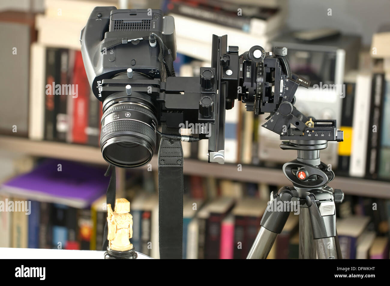 Pro macro gear Stock Photo Alamy
