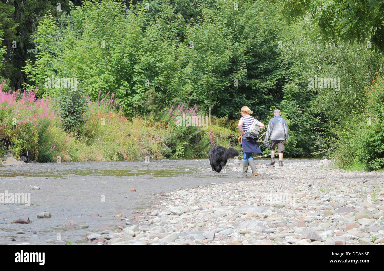 Caucasian Couple Walking Their Dog Along Annan Water, Annandale, Dumfries & Galloway, Scotland, UK Stock Photo