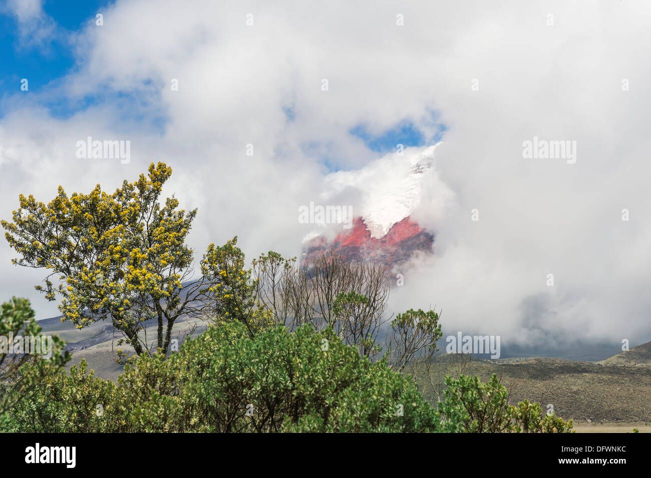 Cotopaxi National Park, Cotopaxi Province, Ecuador Stock Photo - Alamy