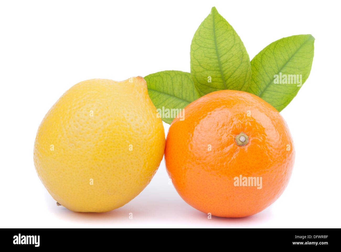 Tangerine and lemon on a white background. Stock Photo