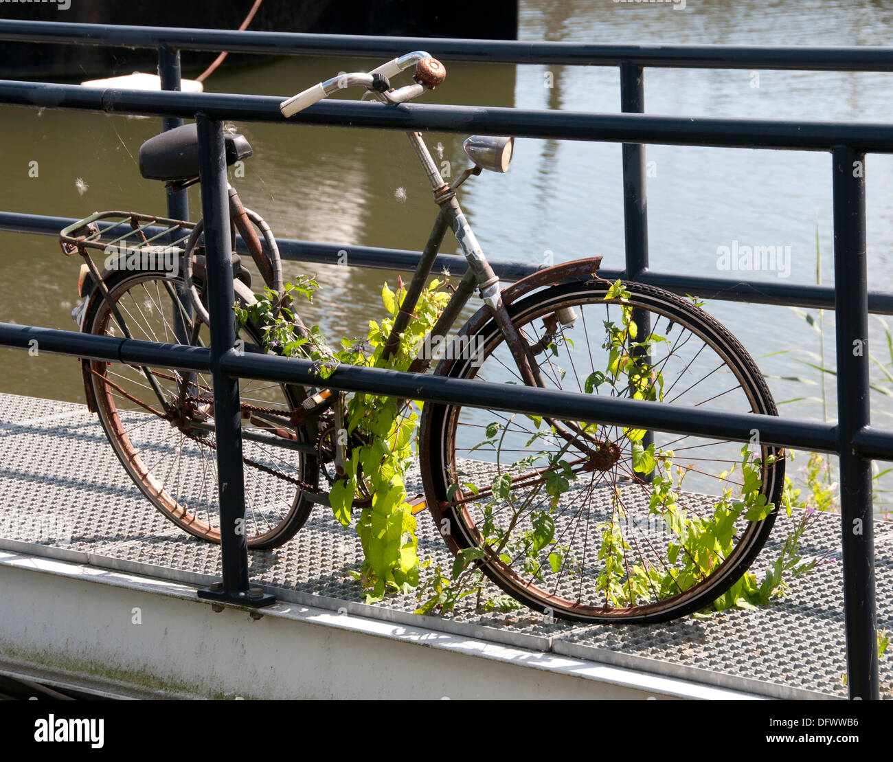 Netherlands Amsterdam bicycle cycle bike bicycles cycles bikes biking cycling cyclists Stock Photo