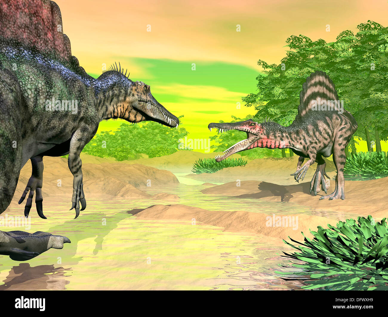 Two Spinosaurus dinosaurs confront each other face to face in a prehistoric environment. Stock Photo