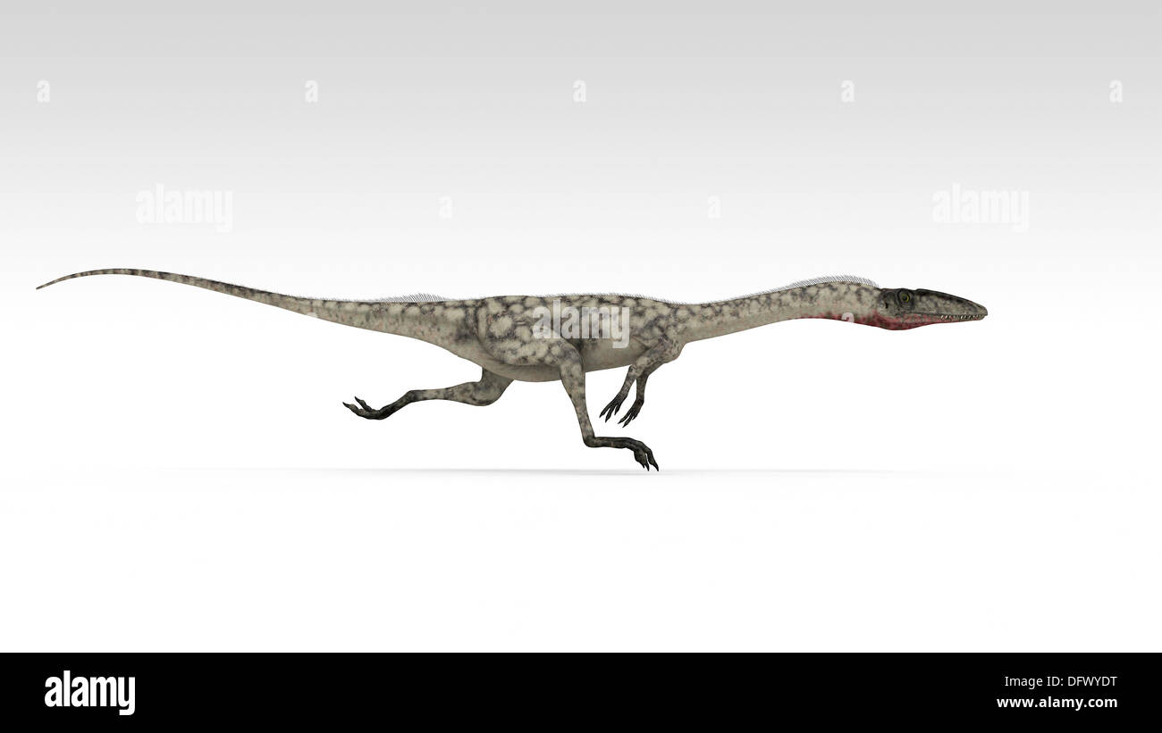 Coelophysis: The Fierce Hunter of the Early Jurassic Period
