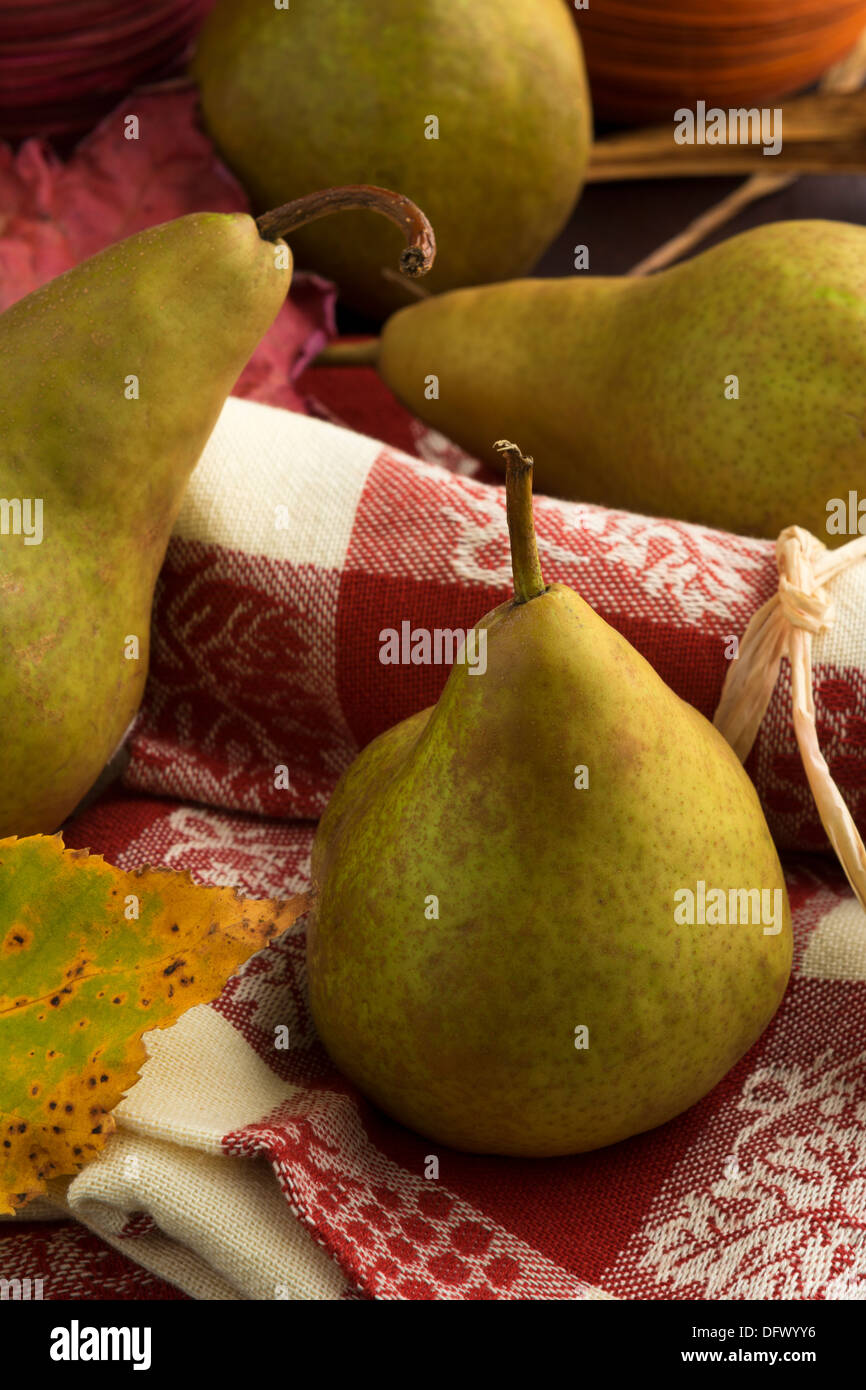 Fall or autumn theme arrangement of Bosc pears Stock Photo