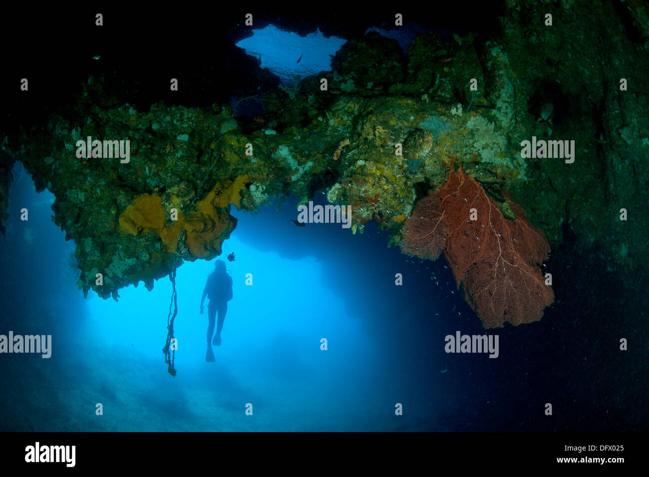 Diver exploring underwater cavern and caves at Goa Farondi, Southern Raja Ampat, West Papua, Indonesia. Stock Photo
