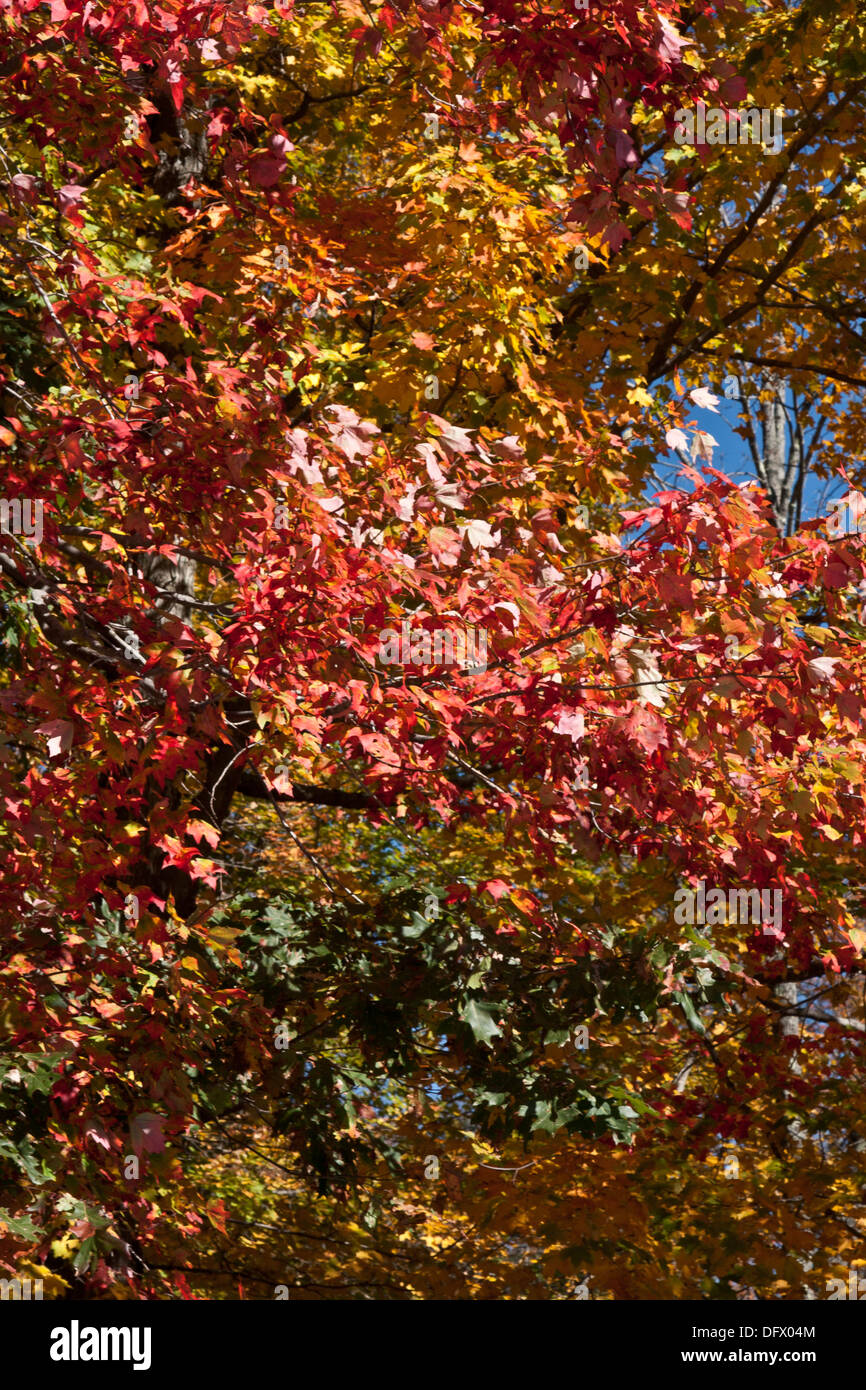 Harvest festival new hampshire hires stock photography and images Alamy