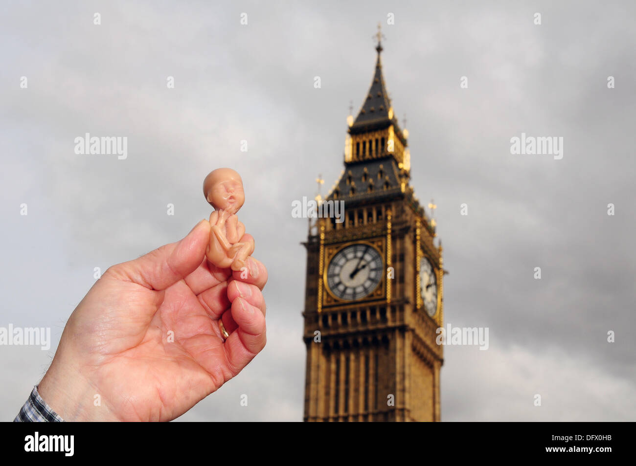 London UK, 9th oct 2013 : Plastic model of 11 week aborted foetus. See Li / Alamy, Live News Stock Photo