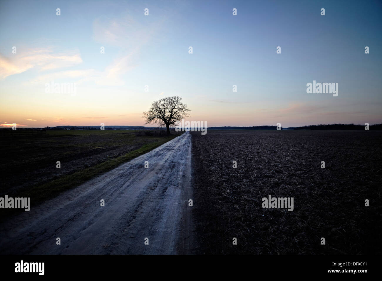 Rural road fields sunrise hi-res stock photography and images - Alamy