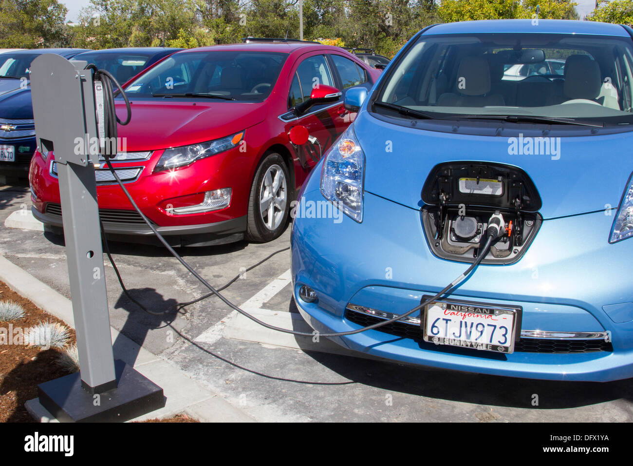 Plug-in electric cars plugged into an EV charging station to charge their batteries in a workplace parking lot Stock Photo