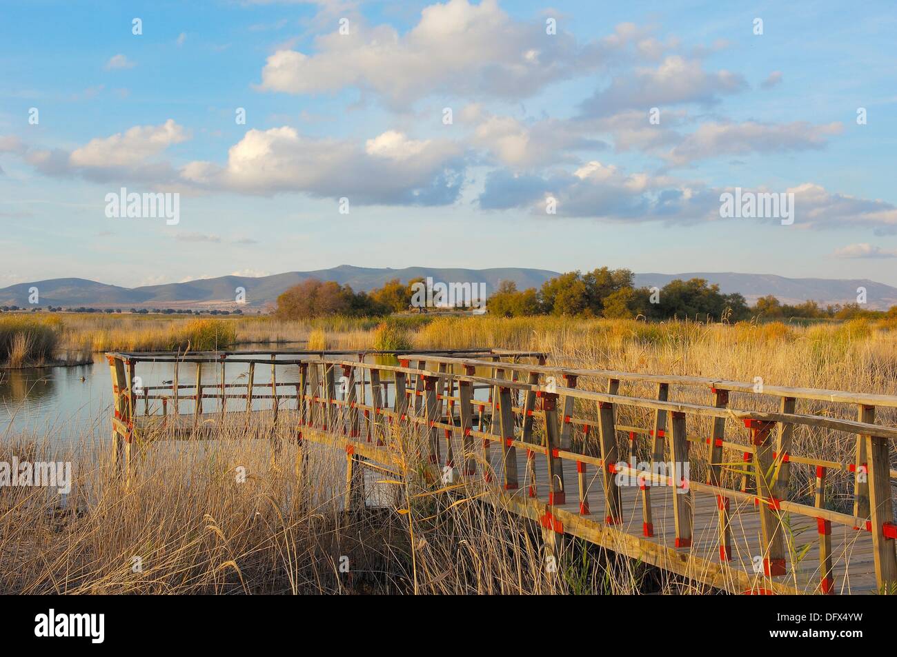 Tablas de Daimiel National Park, Daimiel, Ciudad Real province