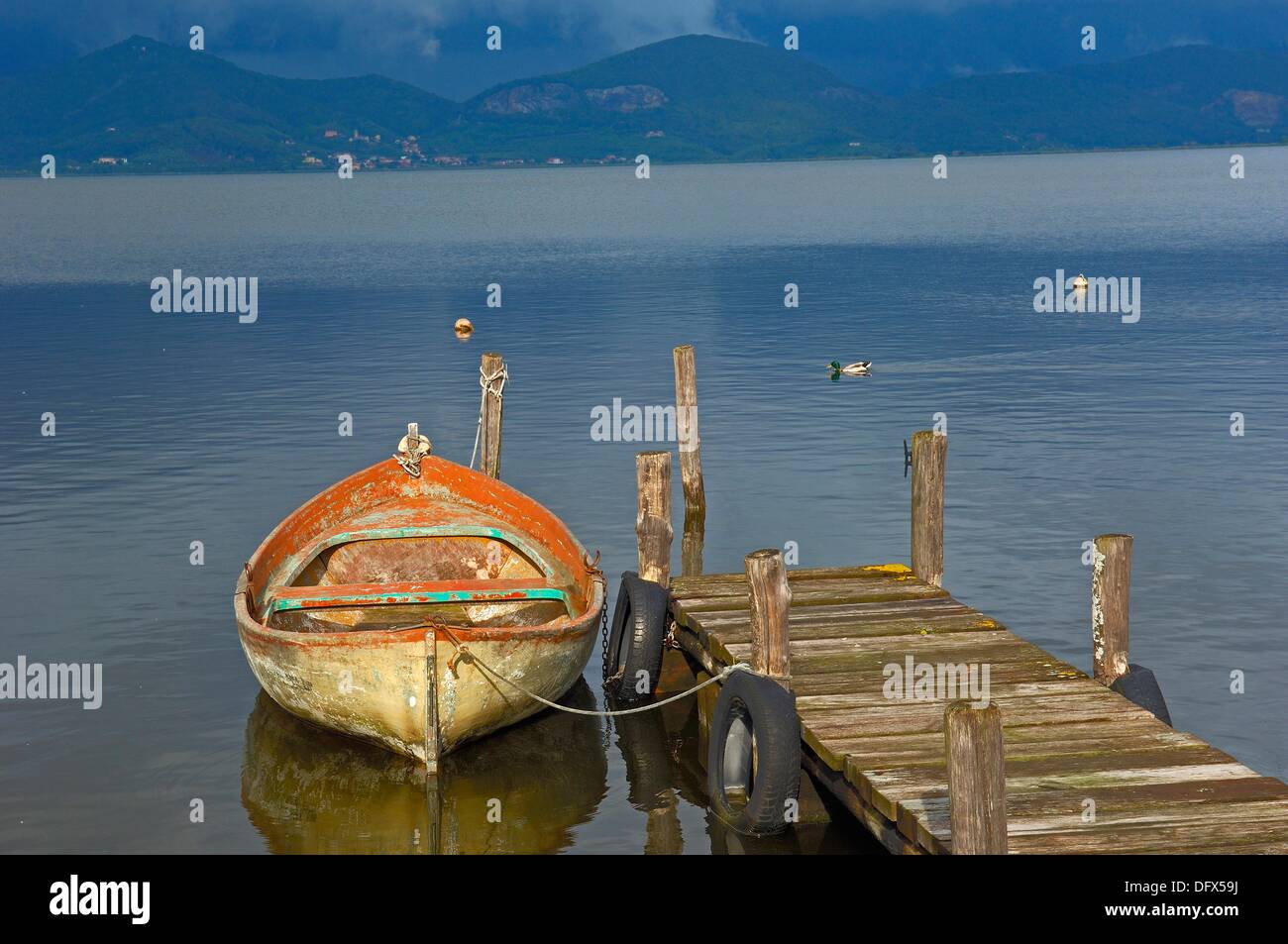 Massaciuccoli lake torre del lago hi-res stock photography and images ...