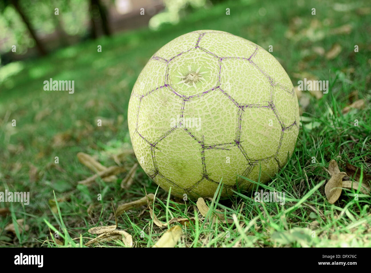 Melon as a soccer ball Stock Photo Alamy