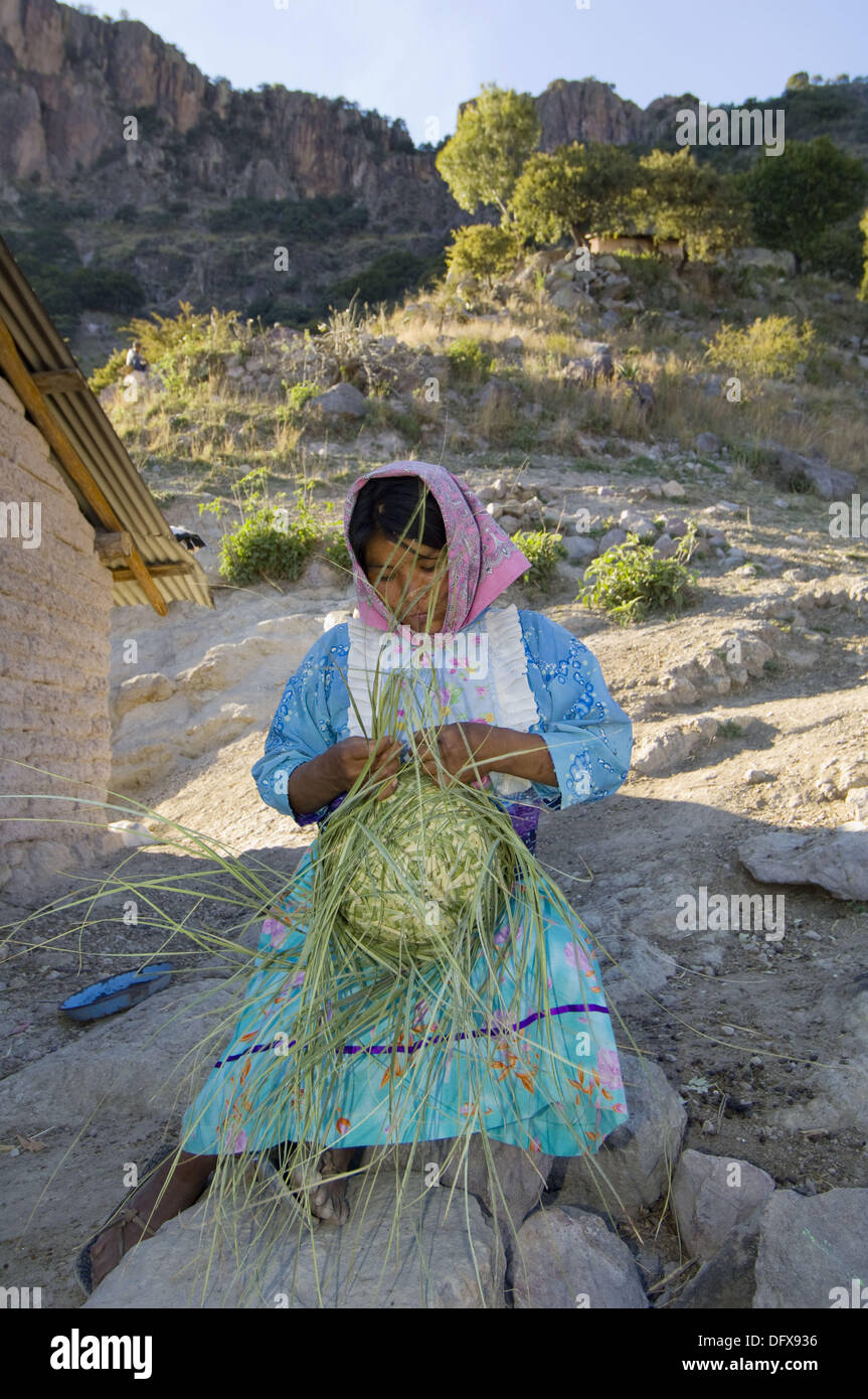Tarahumara Indian Basket High Resolution Stock Photography And Images Alamy Tarahumara Indian Basket High Resolution Stock Photography And Images Alamy