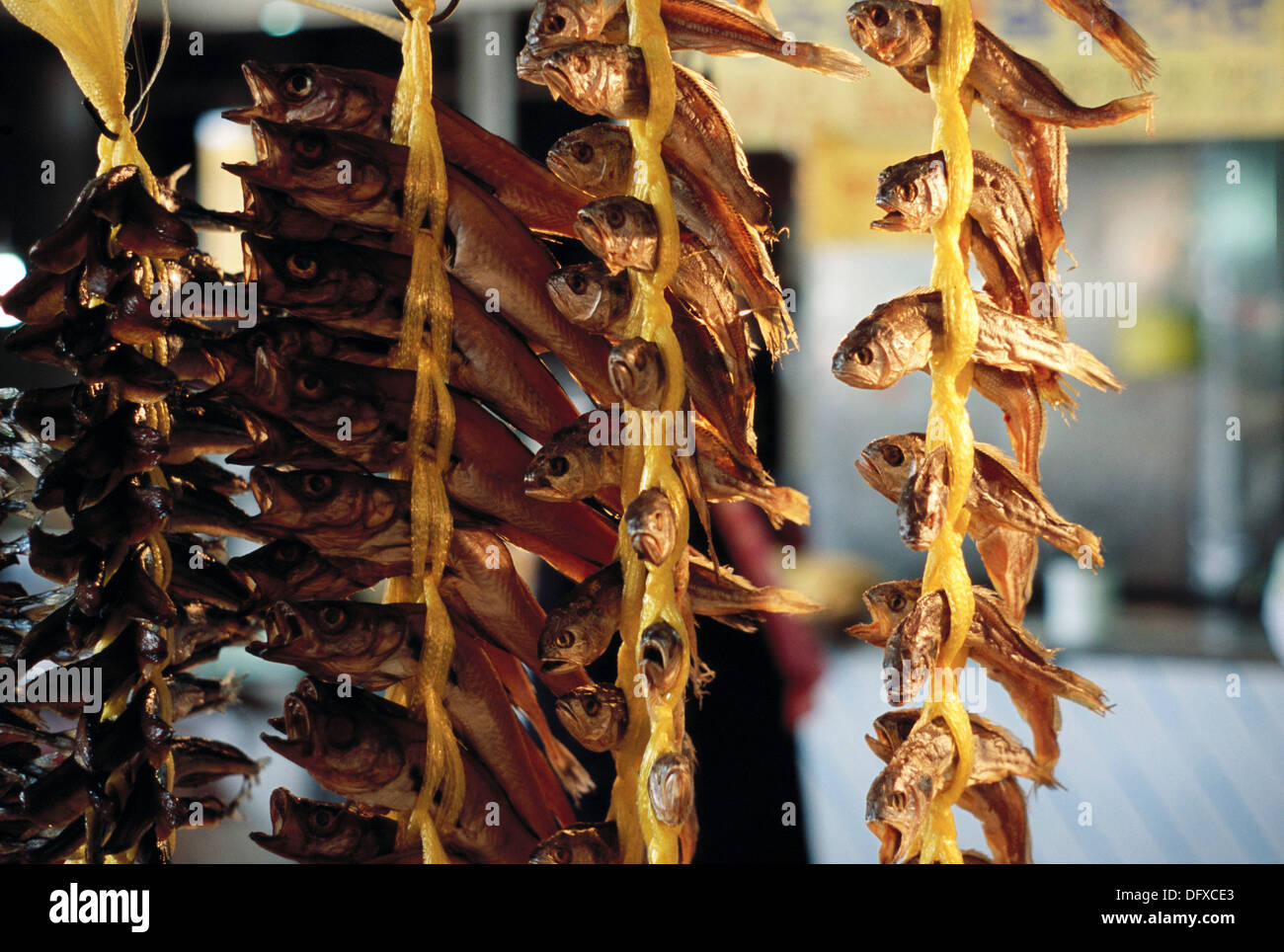 Dried fish at market. Daejeon, South Korea Stock Photo Alamy