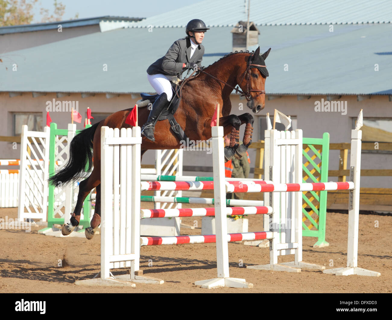 Show jumping rider clears the rails during an equestrian event Stock