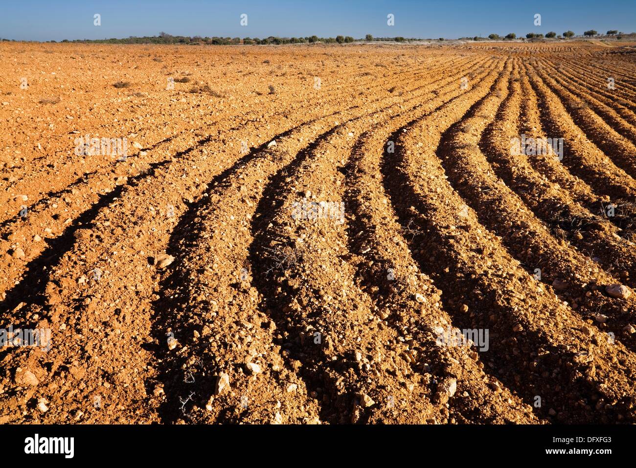 Tilled land in Belmonte de Tajo Madrid Spain Stock Photo