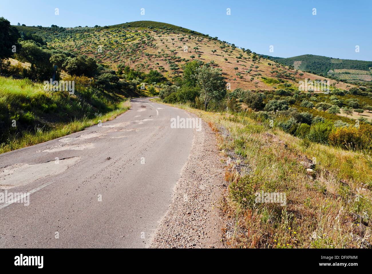 Helechosa hi-res stock photography and images - Alamy