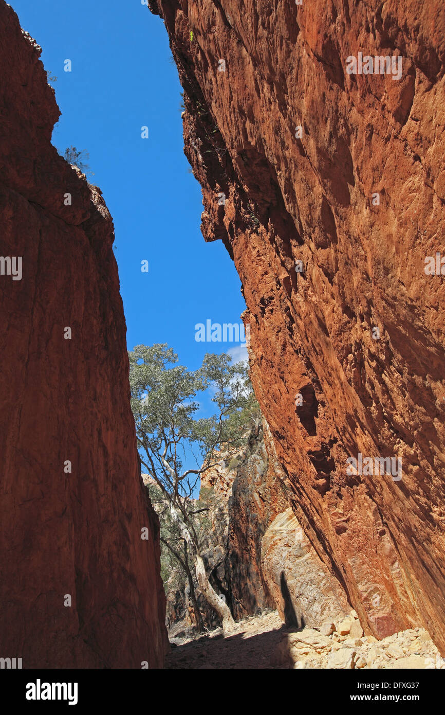 de Standley chasm Western Range Alice springs Territoire du nord