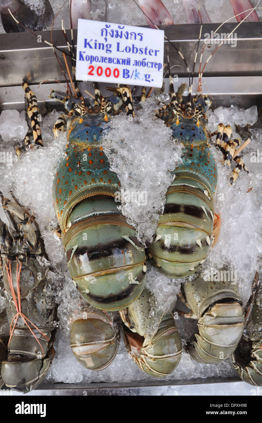 Pattaya (Thailand) lobsters sold at the Naklua market Stock Photo Alamy