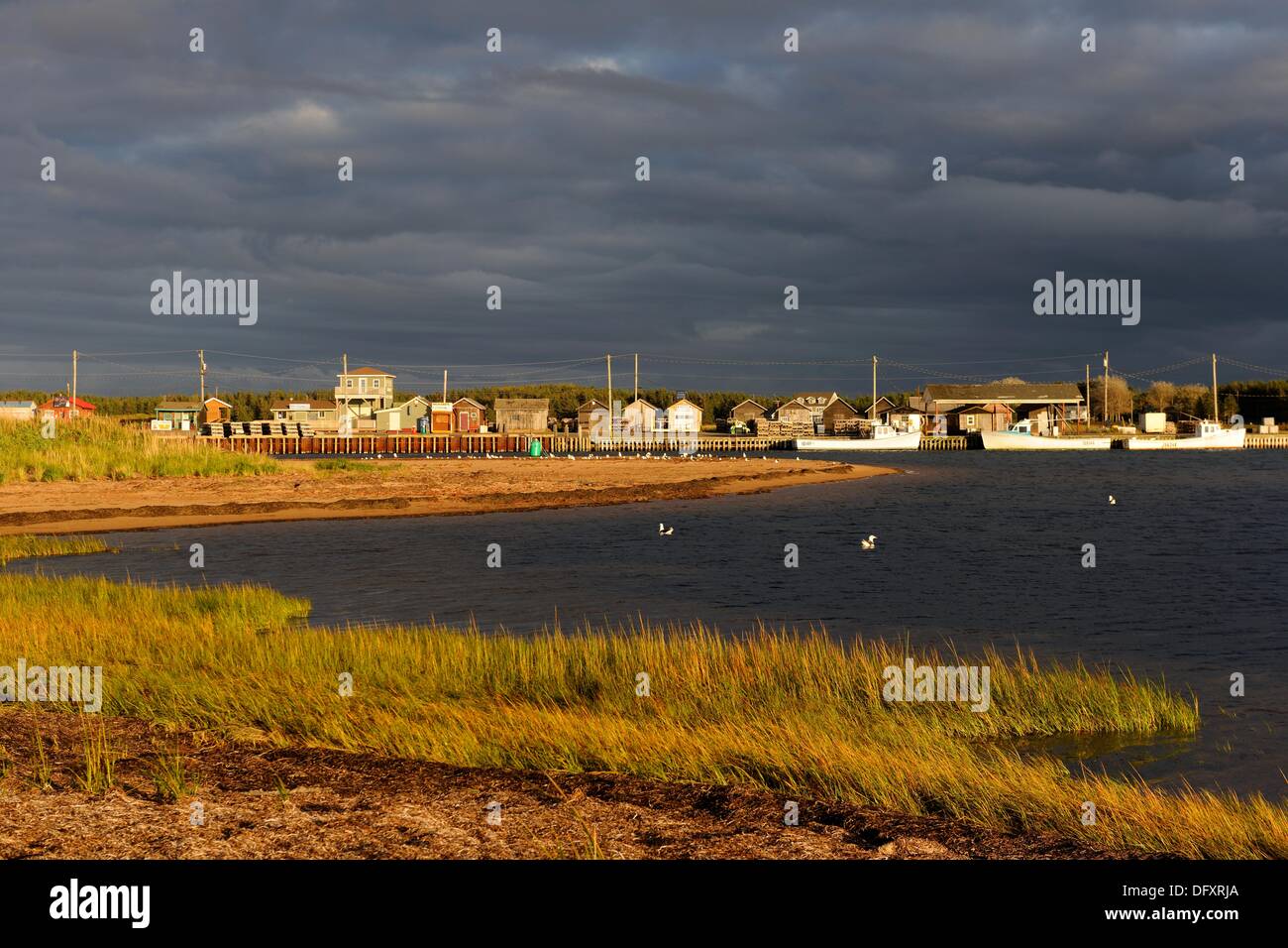 Edward stanhope hires stock photography and images Alamy