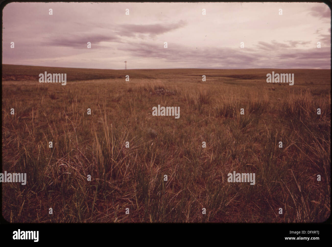 Powder River Ranch Iowa Powder river basin hi-res stock photography and images - Alamy