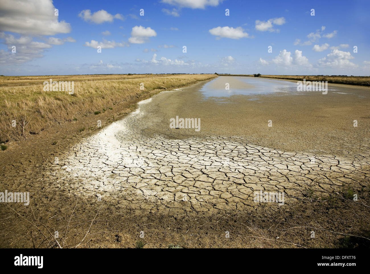 France, Charente, Isle de Ré, salt marshes: dry sludge Stock Photo