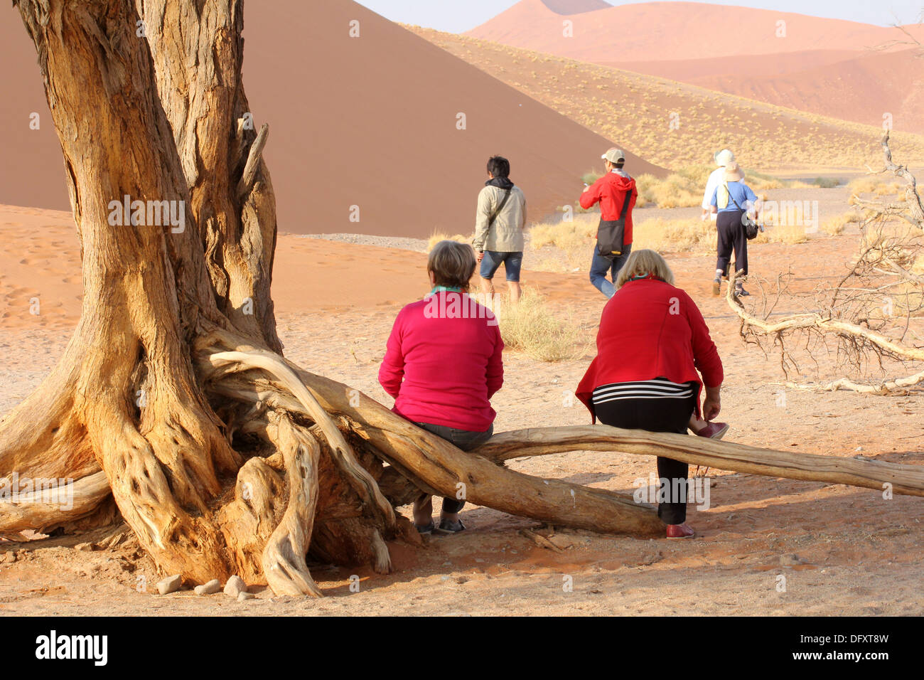 Tourists   in the Namibian desert resting after climbing Dune 45.Namibia. Stock Photo