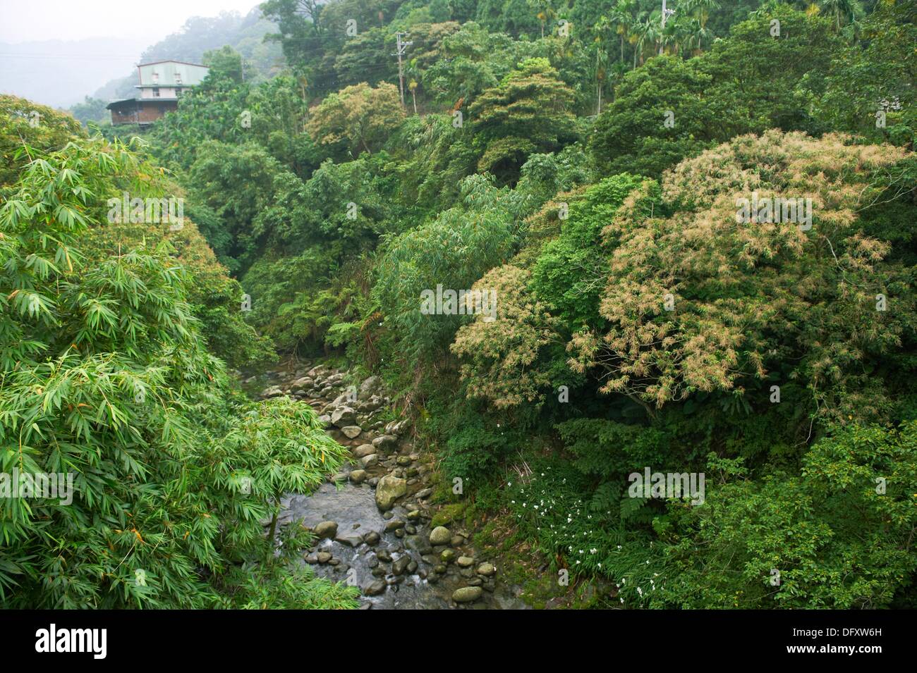 Taiwan eco hi-res stock photography and images - Alamy