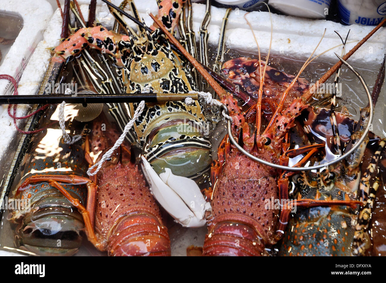 Hong Kong: fresh lobsters sold in a market in Wan Chai Stock Photo